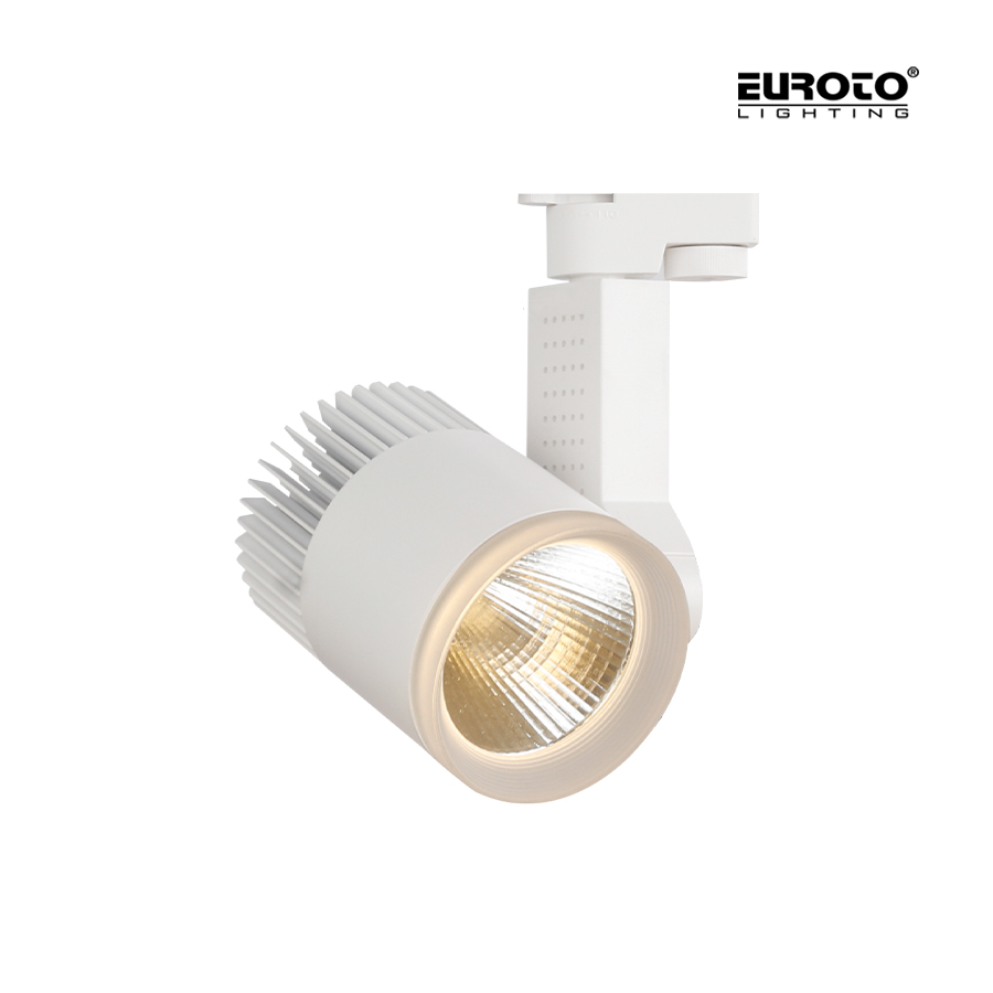 EUR- Đèn Rọi Ray 50W | FR-206 FR-212 - Ảnh 2