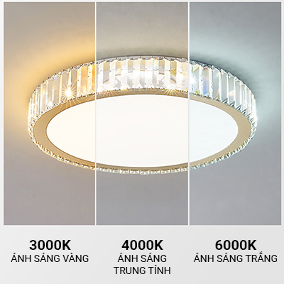 BNN- Ốp Trần Pha Lê Ø500 | OT16TRON - Ảnh 3