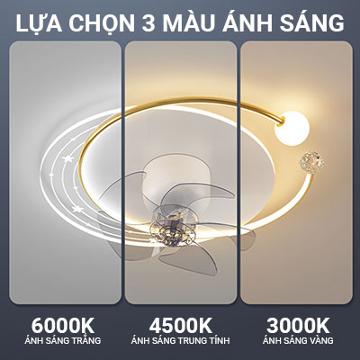 BNN- Ốp Trần Luxury L600 | OTQ83104 - Ảnh 3