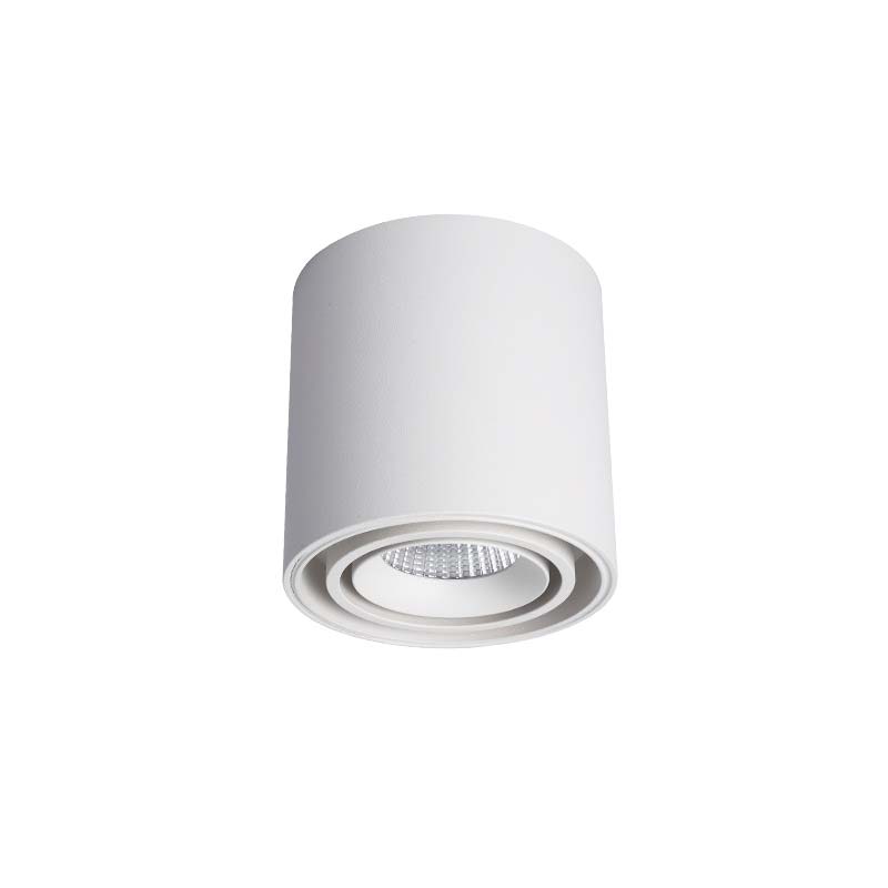 Philips OEM – Đèn Lon Nổi Cao Cấp Tròn 12W | TH-CL13 - Ảnh 4