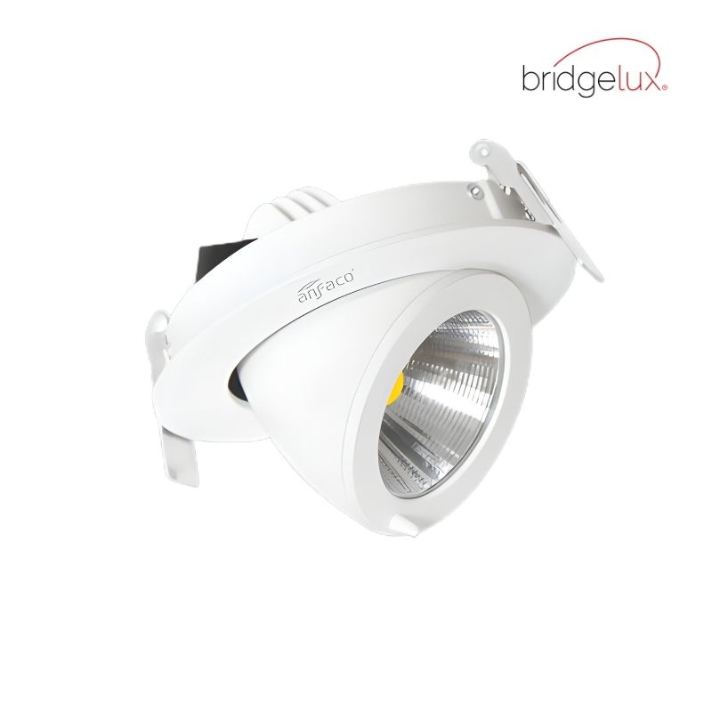 Bridgelux - Âm Trần Spotlight 9W Góc Chiếu 24° | AFC 723