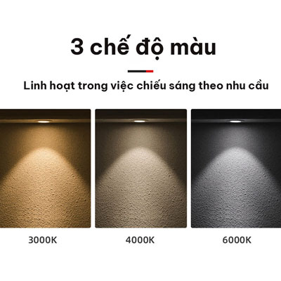 Đèn Ốp Nổi Thân Đen 12w 3 Chế Độ Màu D170 | MSS-621 Euroto - Ảnh 2