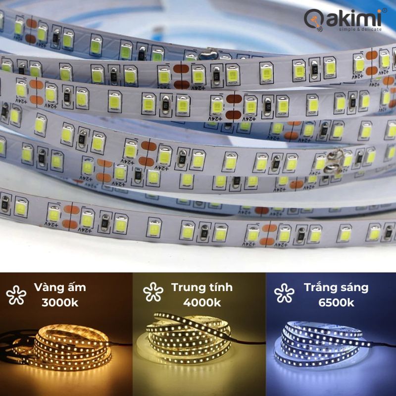 Led Dây Akimi ArchiLine M11 24V (Cuộn 10m) - Ảnh 4