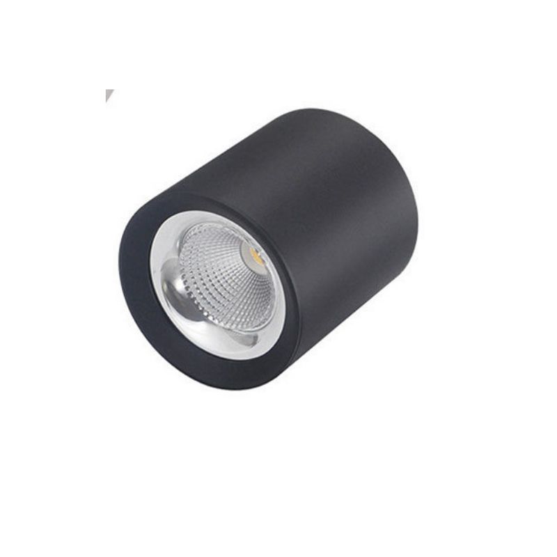 Đèn Lon Nổi Tròn 12W | LN-121 / LN-125 Euroto - Ảnh 4