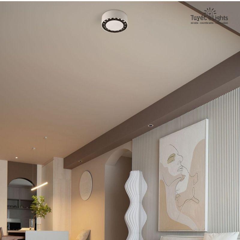 Đèn Lon Nổi Tròn 10W Ánh Sáng 2 Màu | LN-171 Euroto
