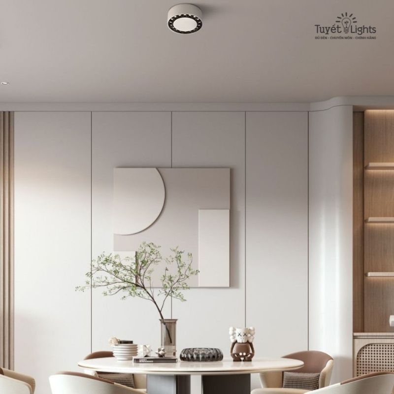 Đèn Lon Nổi Tròn 20W Ánh Sáng 2 Màu | LN-173 Euroto
